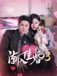 渐入佳婚3第三部(全集)