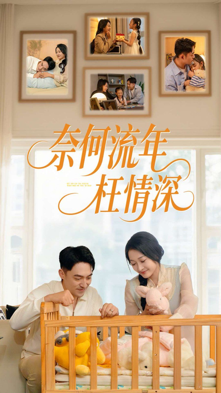 新奈何流年枉情深(全集)